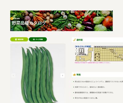 さつきみどり2号の画像