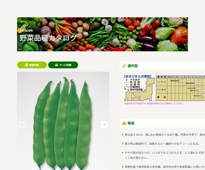 モロッコの画像