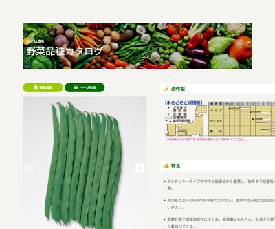 ケンタッキー101の画像