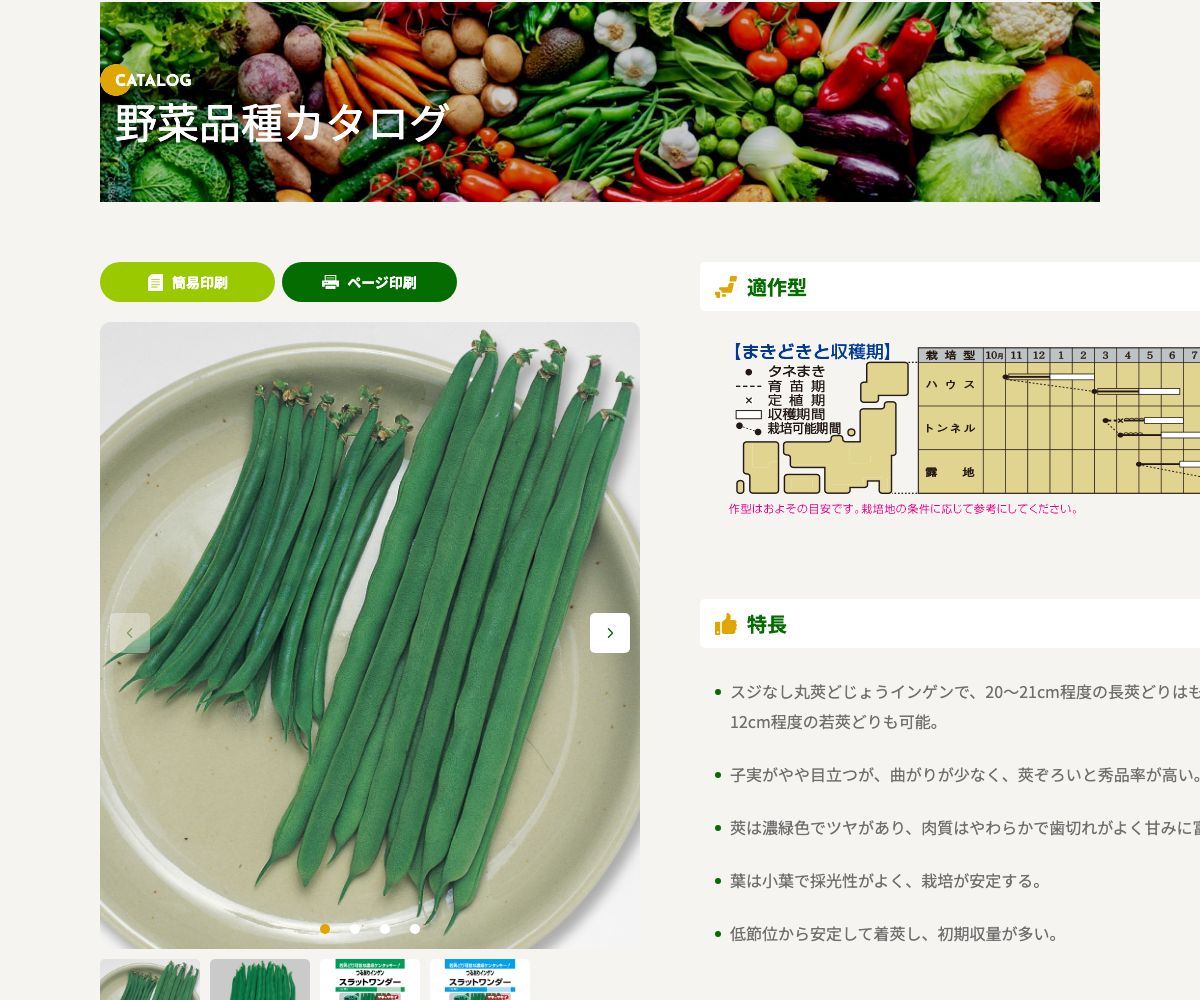 スラットワンダー