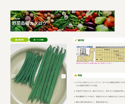 スラットワンダーの画像
