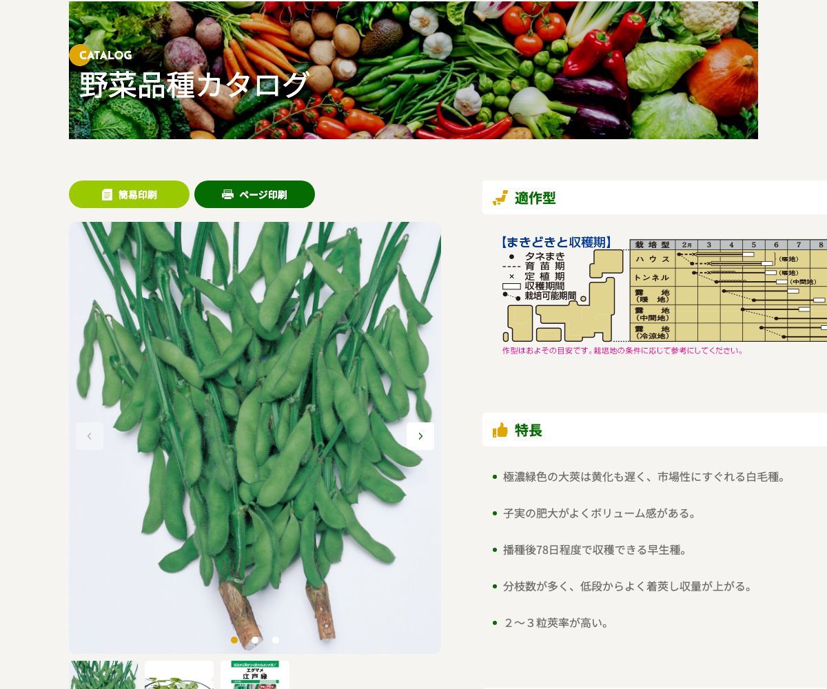 江戸緑