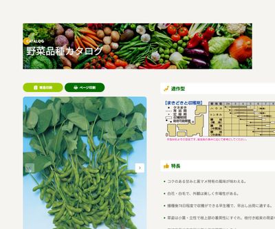 早生黒頭巾の画像