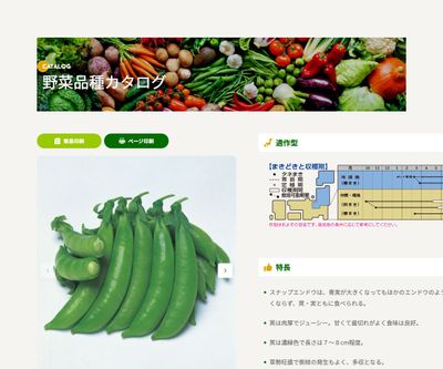 ジャッキーの画像