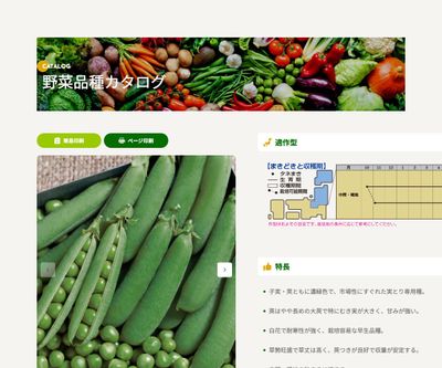 久留米豊の画像