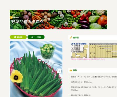 グリーンソードの画像