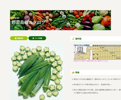 アーリーファイブの画像