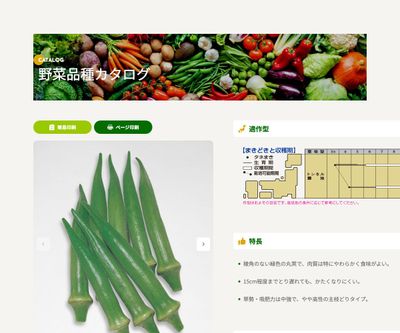 エメラルドの画像