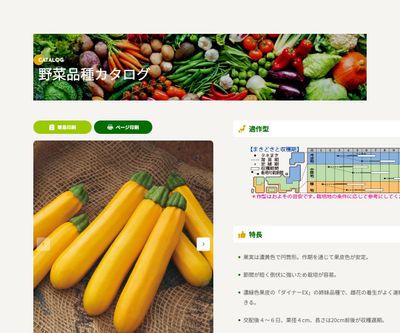 オーラムEXの画像