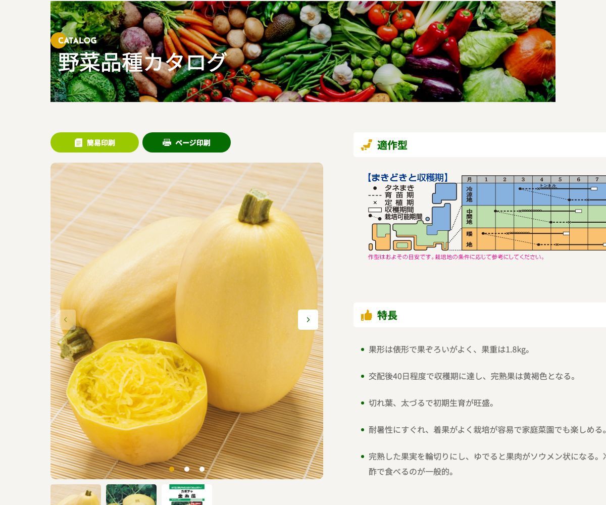 金糸瓜(そうめん南瓜)