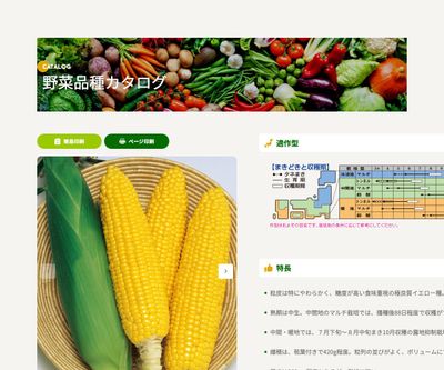 おひさまコーン88の画像