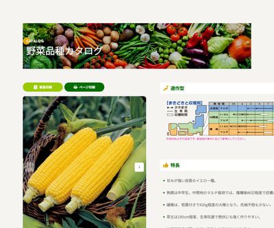 キャンベラ86の画像