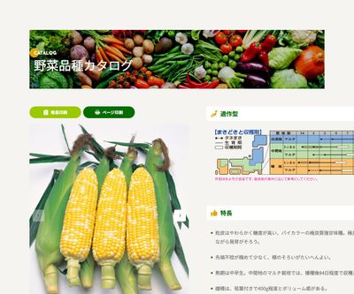 カクテル84EXの画像