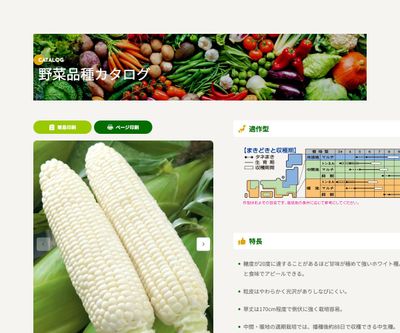 ホイップコーンの画像