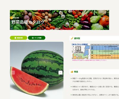 紅まくらの画像