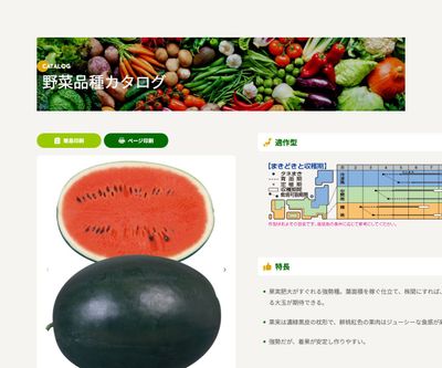 ピロマスタ2の画像