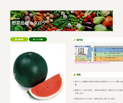 ブラックボール2の画像