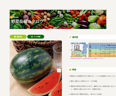 カメハメハの画像