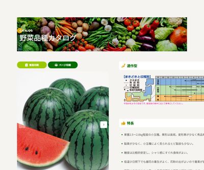 紅しずくの画像