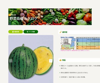 ニューこだまの画像