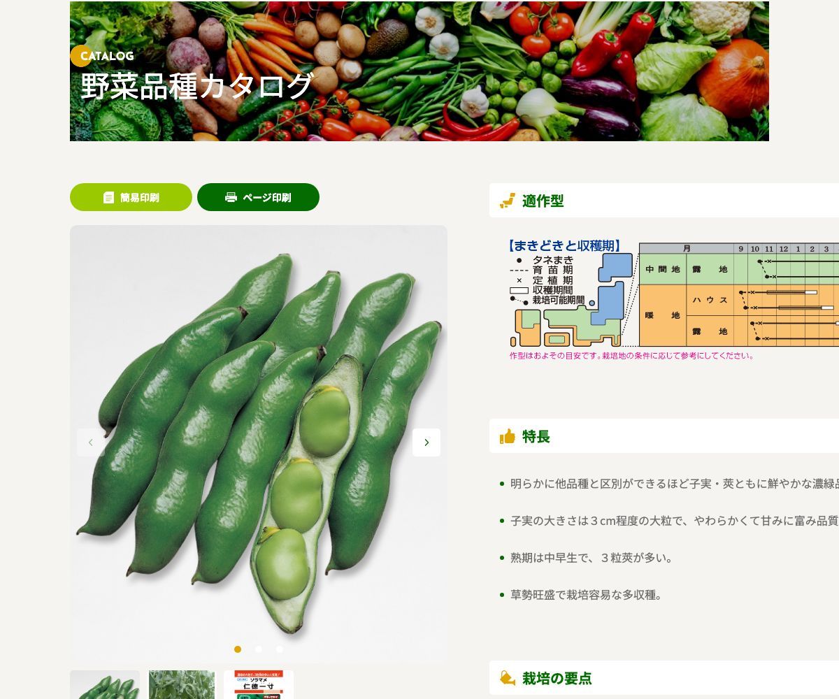 仁徳一寸