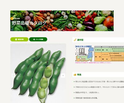 仁徳一寸の画像