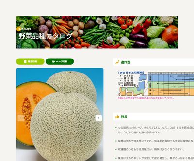 レノンスターの画像