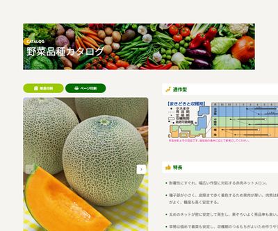 レノンウエーブの画像