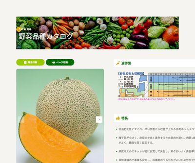 レノンハートの画像