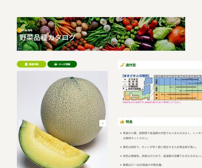 パンナTFの画像