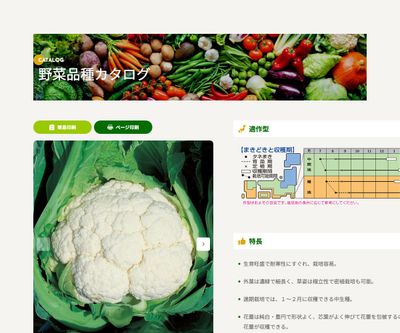 スノードレスの画像