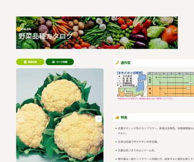 オレンジブーケの画像