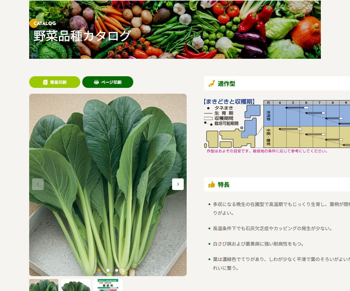 夏蒼天