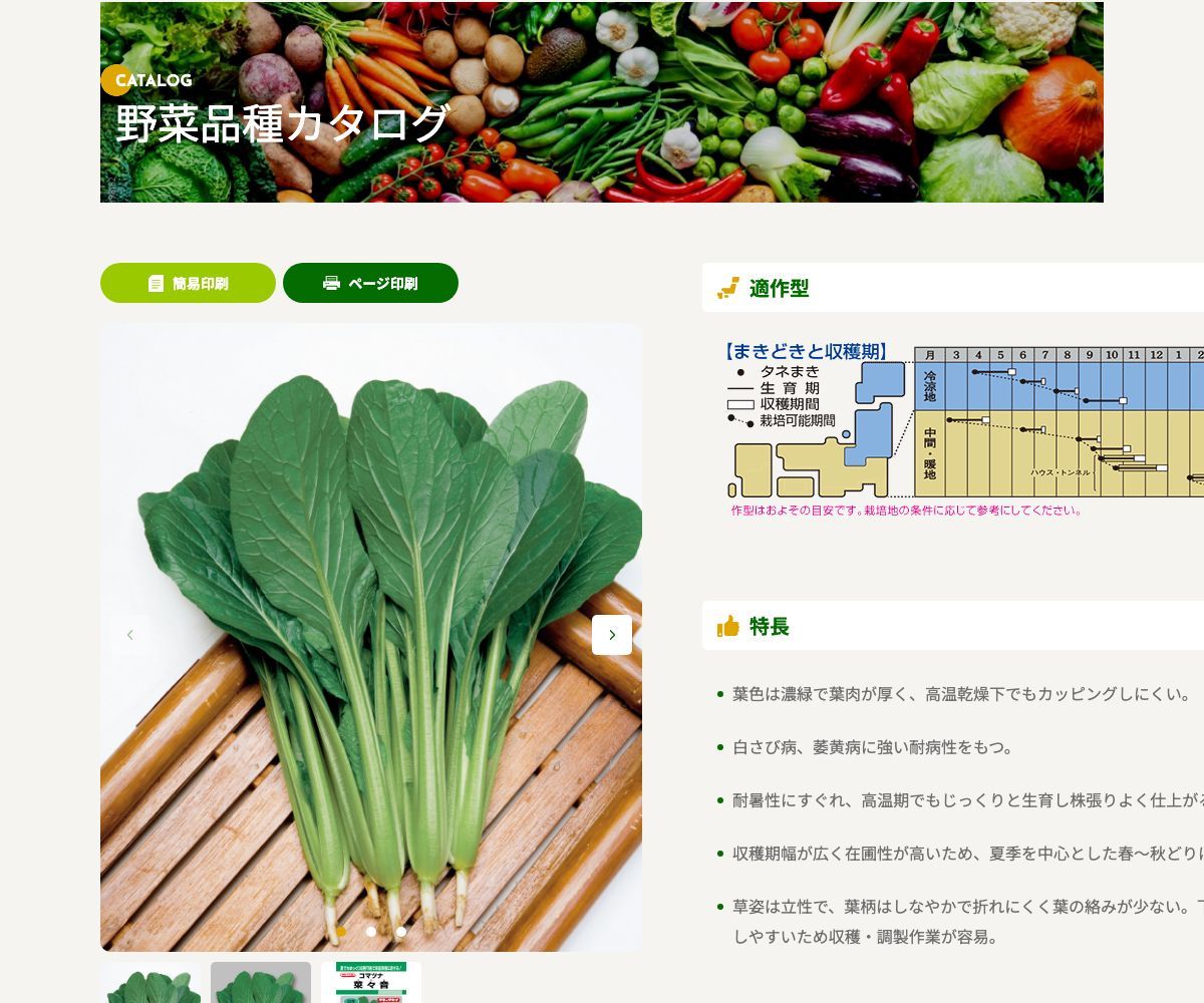 菜々音