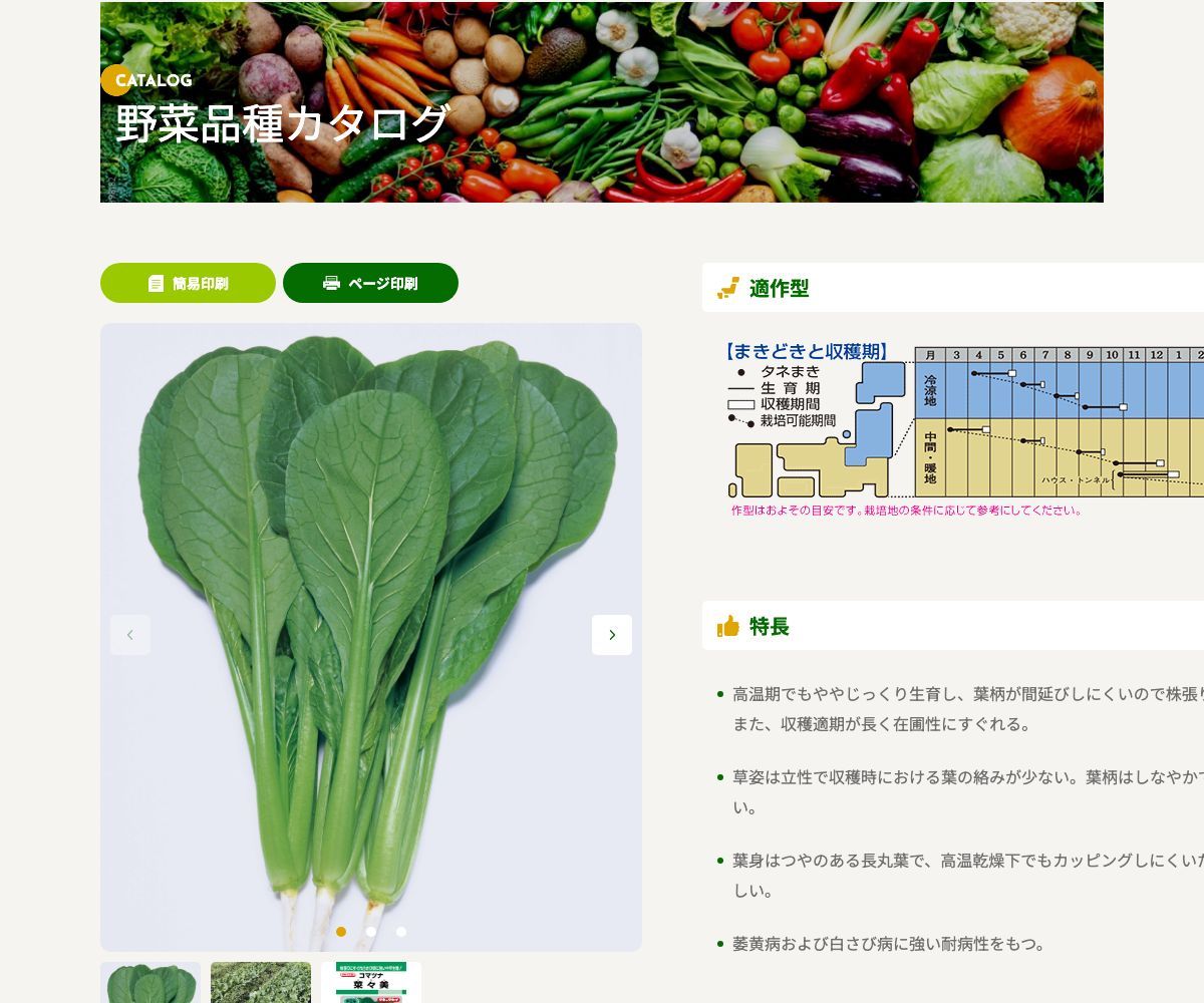 菜々美