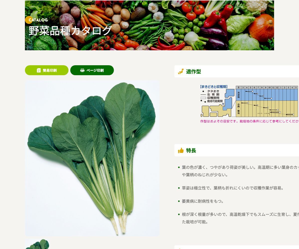 菜々子