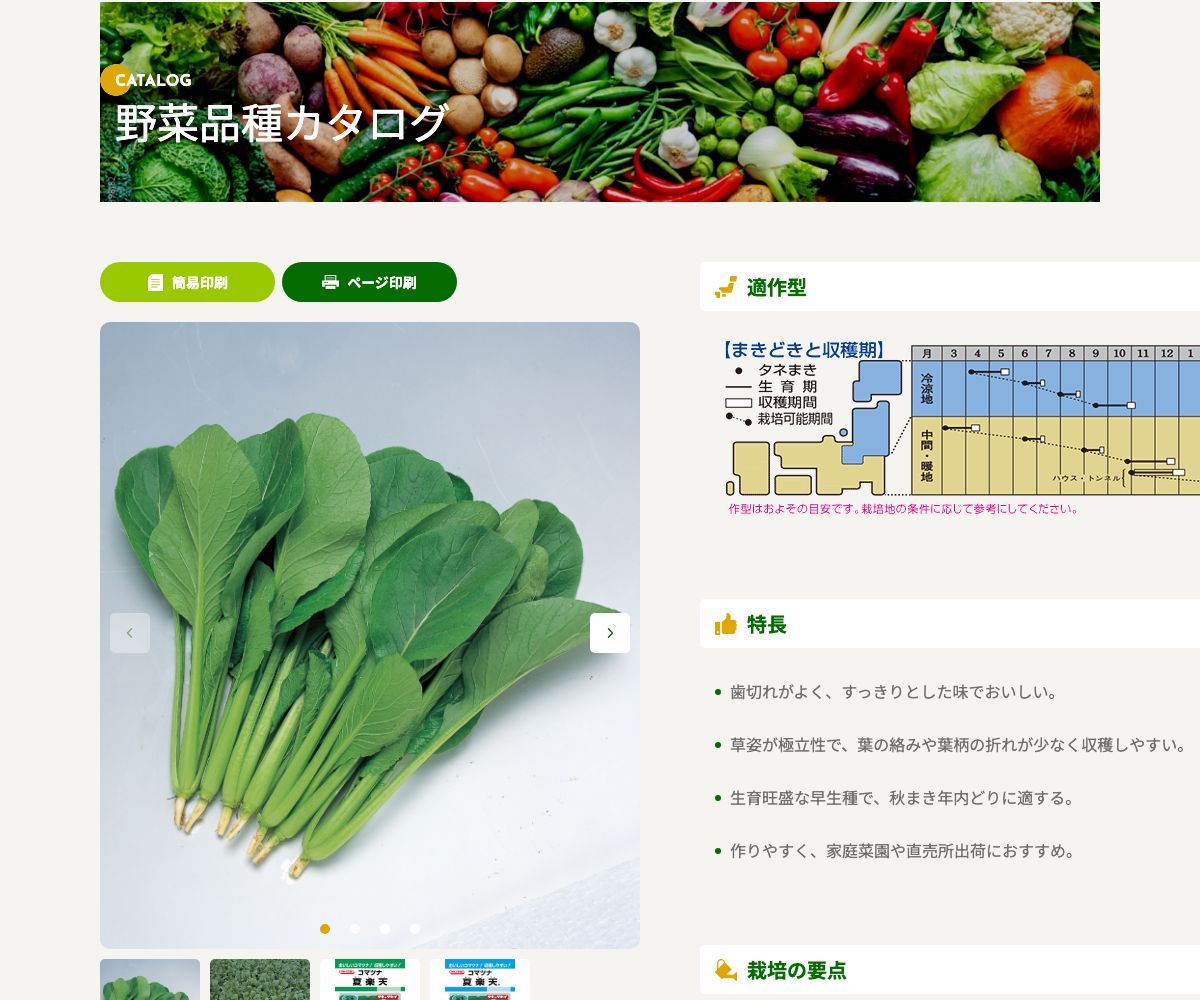 夏楽天