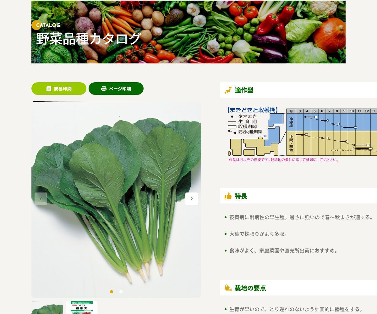 極楽天