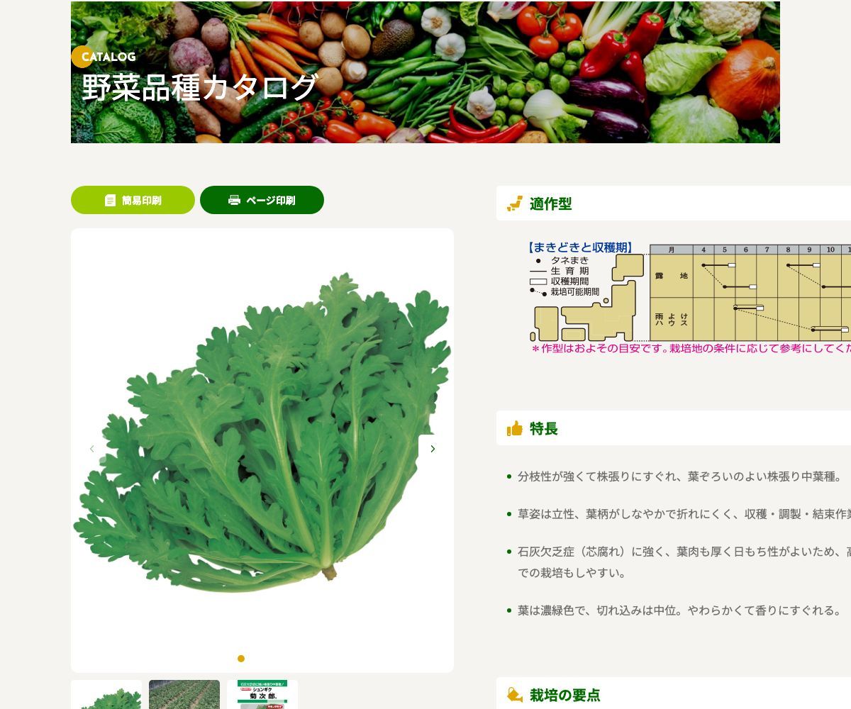 菊次郎
