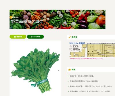 中葉春菊の画像