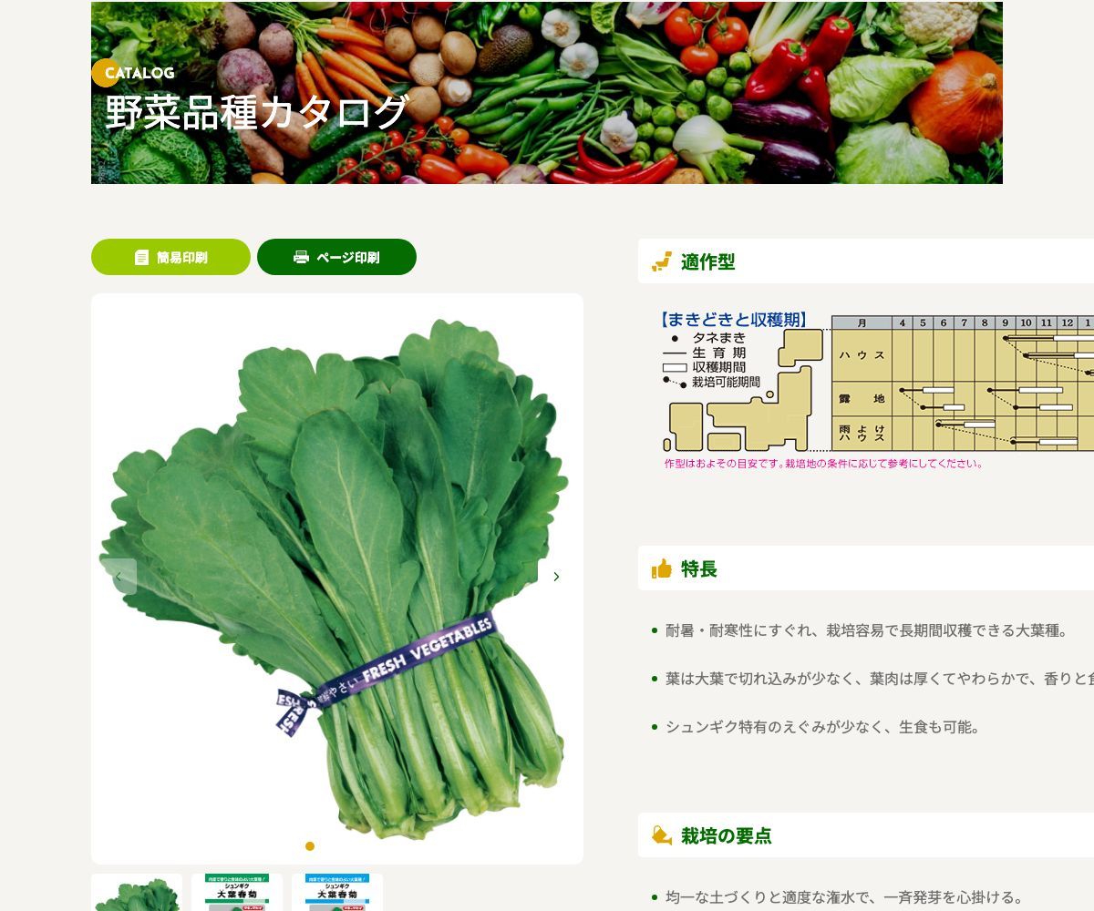 大葉春菊