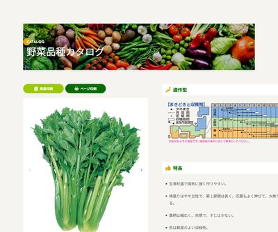 トップセラーの画像