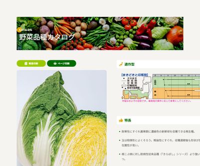 黄づつみ95の画像