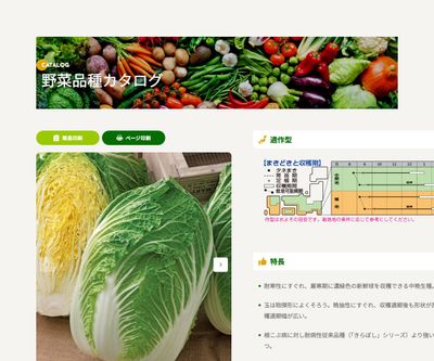 黄づつみ90の画像