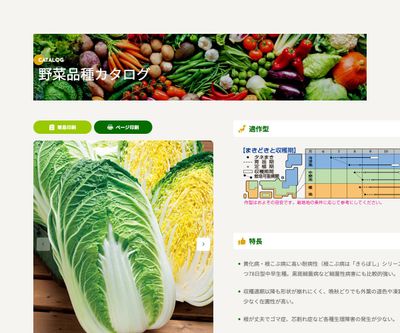 黄づつみ78の画像