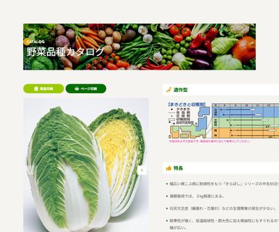 きらぼし85の画像