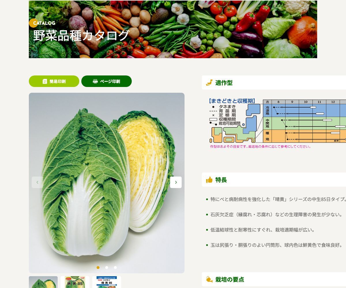 晴黄85