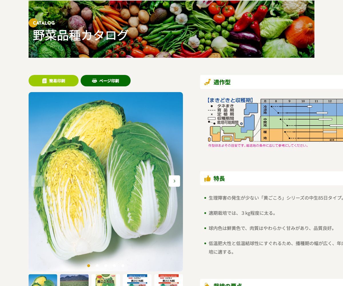 黄ごころ85