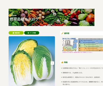 黄ごころ85の画像