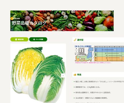 きらぼし77の画像